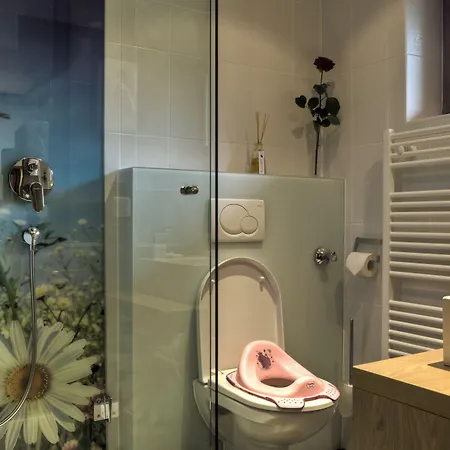 酒店 4*s Galtenberg 阿尔卑巴赫